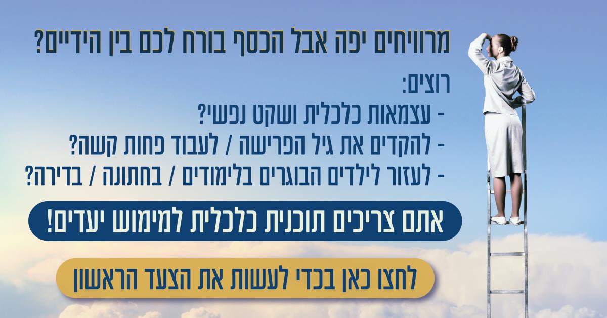 בניית תוכנית כלכלית - איל פיק