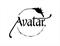 מה הן התוצאות הצפויות מקורס AVATAR