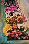 פרידה פירו frida piro art ציירת יוצרת אמנית מודרנית עכשווית אמנות ישראלית ציורי פרח פרחים טבע דומם