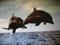 "אני והלקוח שלי  איך לנהל מערכת יחסים מוצלחת"