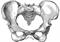 חוסר איזון באגן (asymmetry/obliquity of the pelvis)