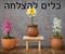 כלים להצלחה