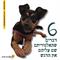 6 הדברים שהאלגוריתם שם עליהם את הדגש