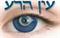 על עין הרע והגנות