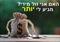 האם אני זול מידי ? מגיע לי יותר!