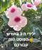נולדתם ב 3 בחודש? הפוסט הזה בשבילכם