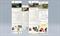 הניוזלטר ככלי שיווקי ליצירת קשר עם הלקוח ותפקידו של העיצוב