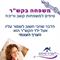 הכי חשוב לשמור על ביטחונו העצמי של ילד בהפרעת קשב