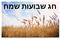 חג שבועות