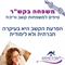 הפרעת קשב היא יותר חברתית ופחות לימודית