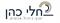 משוב כדיאלוג אמיתי