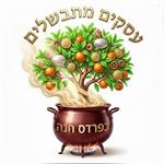 עסקים מתבשלים בפרדס חנה  מארחים את גלי מרגלית דיגית שעושה תמיד יותר ממוסיקה