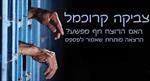 הרצאה לדוגמא - רצח בכוונה תחילה... או שלא?
