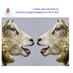 למכור יותר באמצעות תקשורת בינאישית