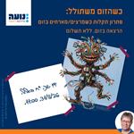 כשהזום משתולל: פתרון תקלות כשמארחים/מרצים בזום, נועה כהןאורלוב 31.8.26