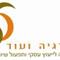 סיון  משה