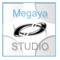 עמית  MegayaSTUDIO
