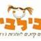 טלי  אביב