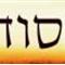 רוני  אללי