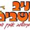 יניב  איבגי