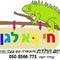 עודד  יונה