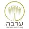 עידן  מרגולין