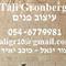 טלי  גרונברג