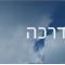 תמיר  שקד