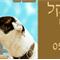 אבי  עקיבא