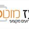 בעז  מוטס