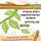 דבורה  בוינג'ו