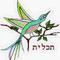 קרן  פויכטונגר