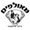 מוטי  שמאילוב