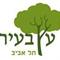 עץ  בעיר