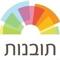 מרכז  תובנות