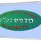 צחי  אלישע