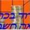 דוד  בכר