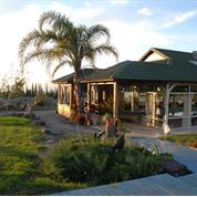 יהונתן  בן ענת