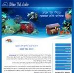 מבצע הקמת אתר אינטרנט במחירים שאסור לפספ