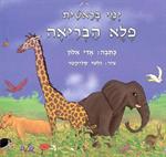 הספר "פלא הבריאה"