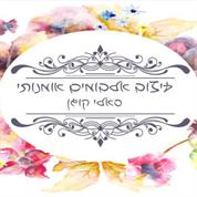 נט דיזיין