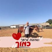 חן צחי