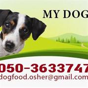 MY-DOG
