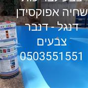 דנבר צבעים וציפויים ישראל בעמ