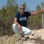הזדמנויות במקרקעין