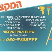 המקצוען