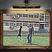 David Abutbul-Dog training