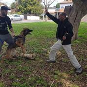 S.p.t dogs