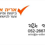 אריה אשד ביטוח ופיננסים