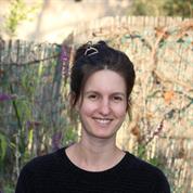 שיר יוסיפון